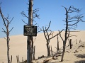 dune_013