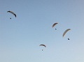 dune_050