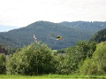 flife_039