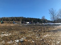 IMG_2486