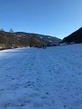 IMG_2544