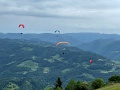 IMG_4384