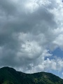 IMG_4433