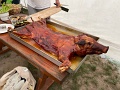 IMG_4451