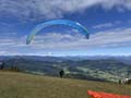greb_trophy_035