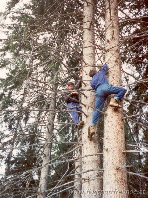 1991_07.jpg