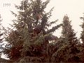 1990_19