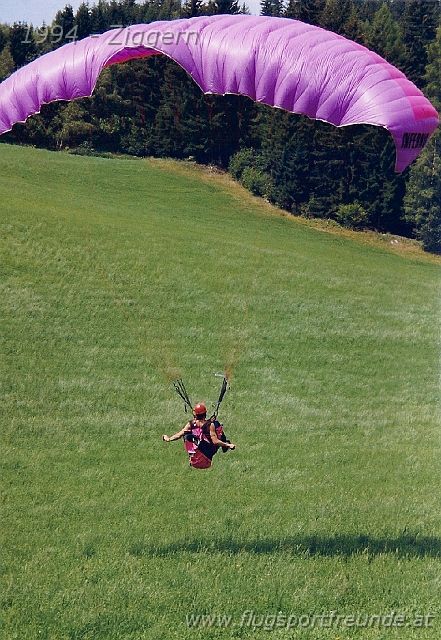 1994_ziggern_014.jpg