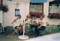 1999_ingo_001